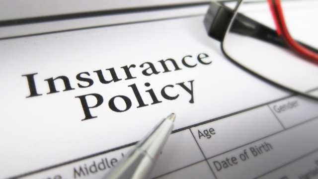 Essential Guide to Protecting Your Utah Business with Insurance