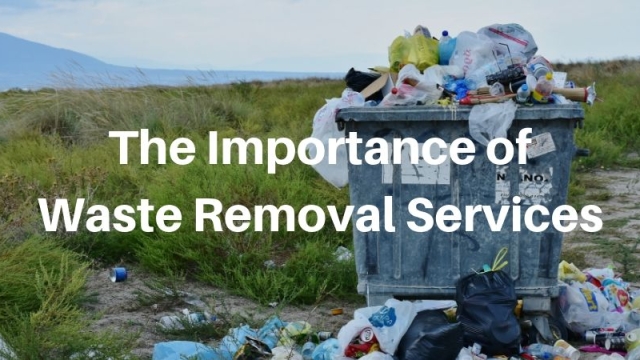 From Trash to Treasure: Unveiling the Secrets of Waste Removal