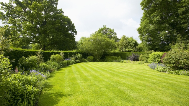 Beyond the Grass: Transforming Your Lawn with Creative Landscaping Ideas