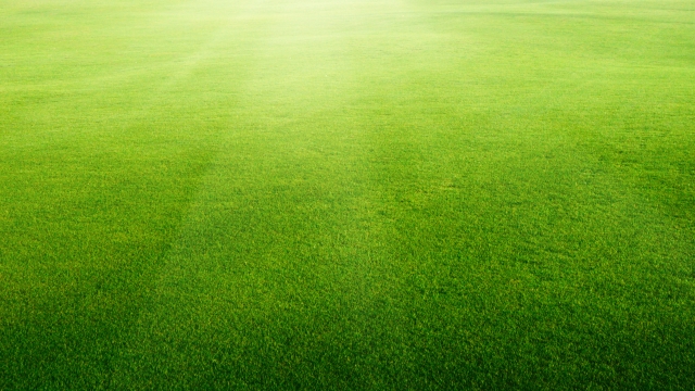 The Secrets to a Perfectly Manicured Lawn: Mastering the Art of Lawn Mowing and Care