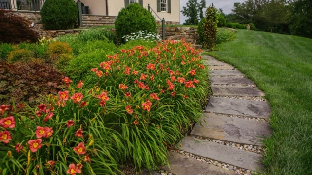 Blooming Bounty: Unleashing the Magic of Garden Beds