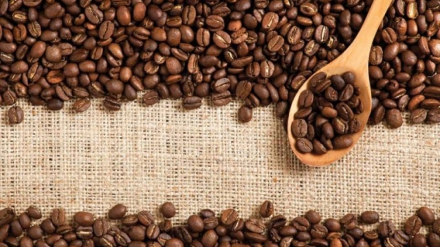 Brewing Bliss: Unveiling the World of Organic Coffee Beans