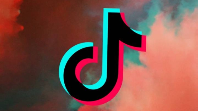 Diving into the TikTok Universe: Unveiling the Secrets Behind the Viral Videos