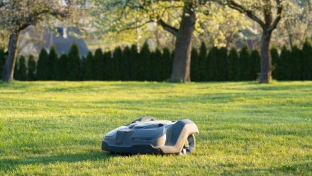 Die Zukunft des Rasenmähens: Roboter, die den Garten zaubern!