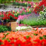 From Seed to Splendor: Unleashing Your Garden’s True Potential