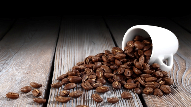 Brewing Bliss: Uncovering the Secrets of the Perfect Cup of Coffee