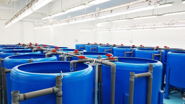 Future Waves: Revolutionizing Seafood with Aquaculture Technology