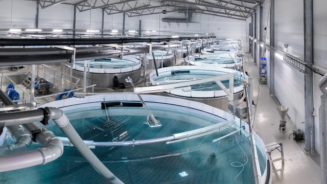 Revolutionizing Our Waters: The Future of Aquaculture Technology