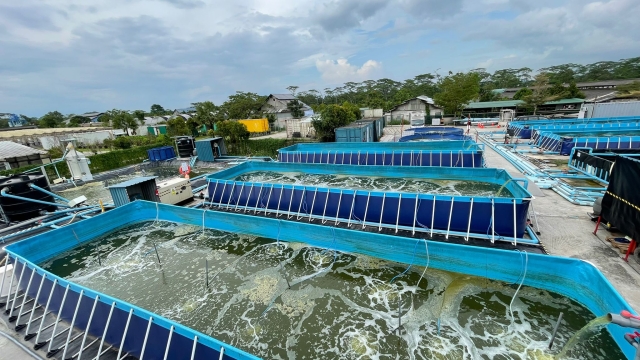 Revolutionizing the Future of Food: Unleashing Aquaculture Technology